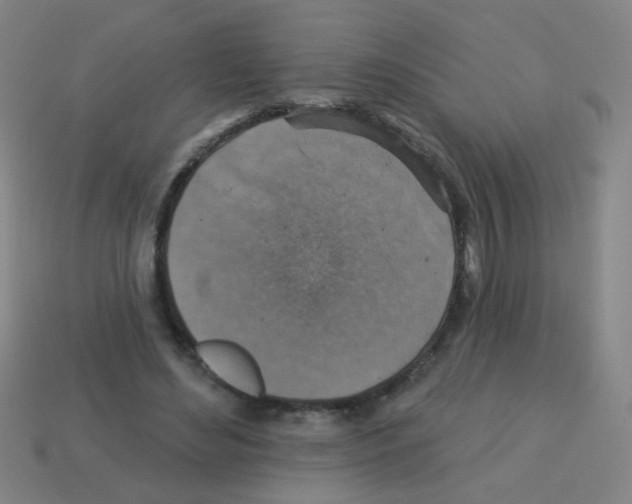 X0000113230492200910221042