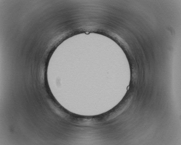 X0000113230493200910221042