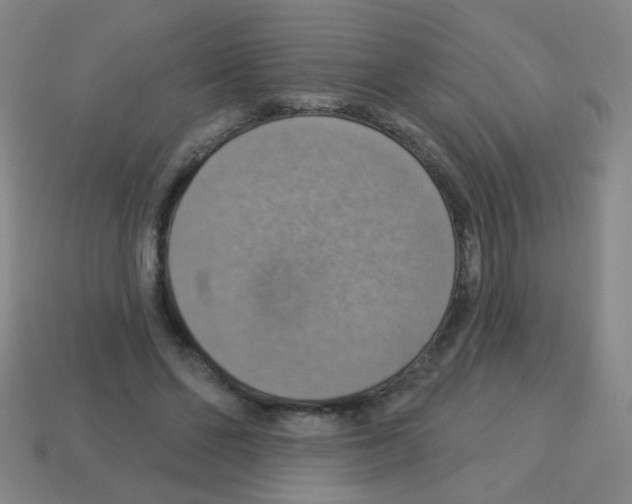 X0000113230494200910221042