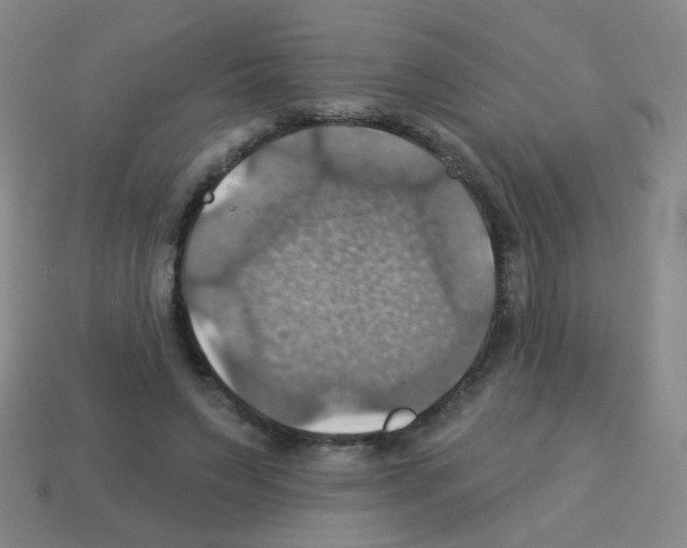 X0000113230495200910221042