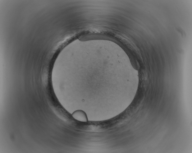 X0000113230496200910221042