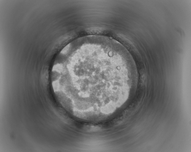 X0000113230498200910221042