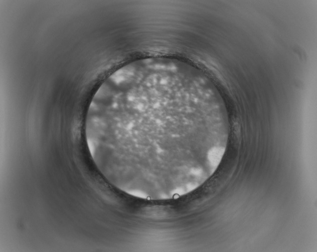 X0000113230499200910221042