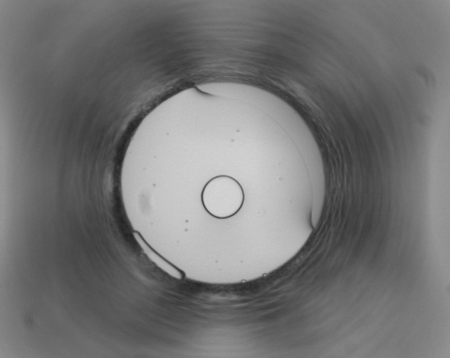 X0000113230500200910221042