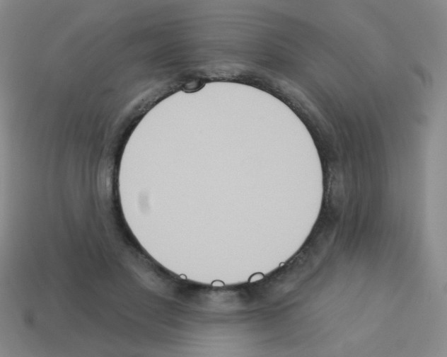 X0000113230501200910221042