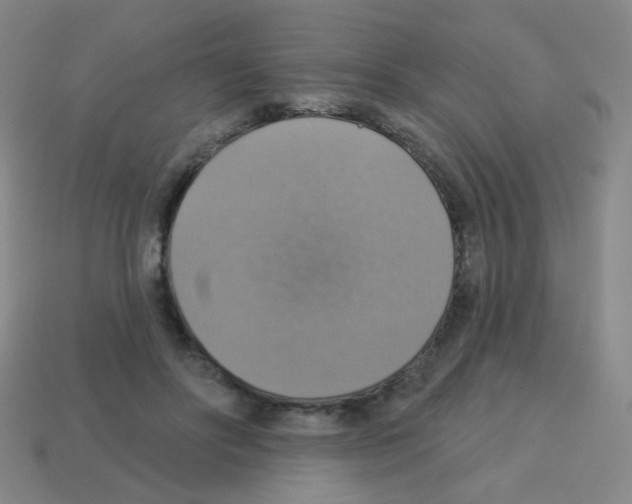 X0000113230502200910221042