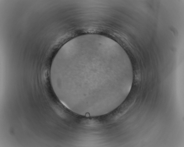 X0000113230503200910221042