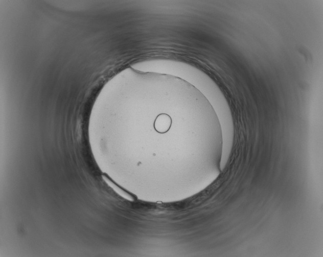 X0000113230504200910221042