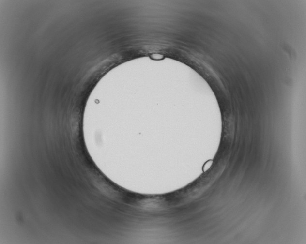 X0000113230505200910221042