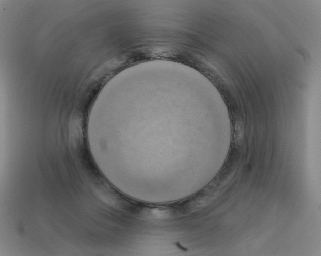 X0000113230506200910221042