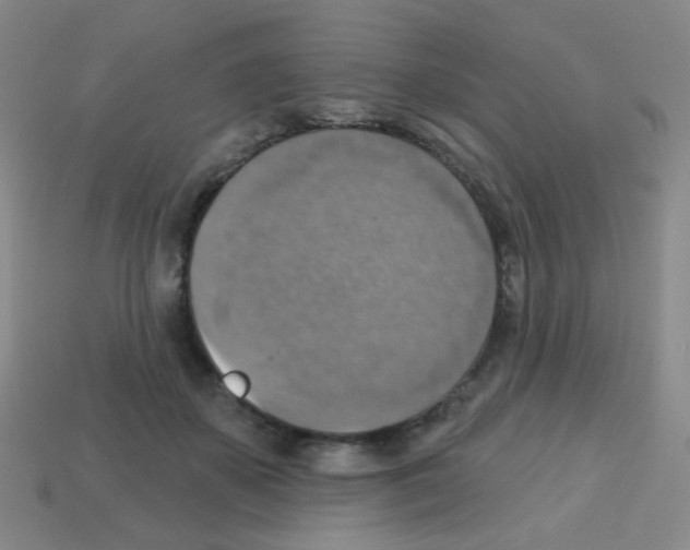 X0000113230507200910221042