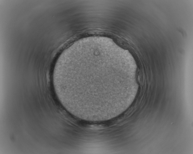 X0000113230508200910221042