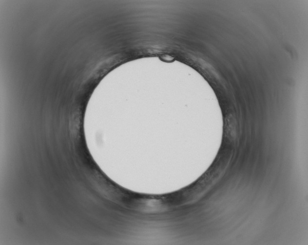 X0000113230509200910221042