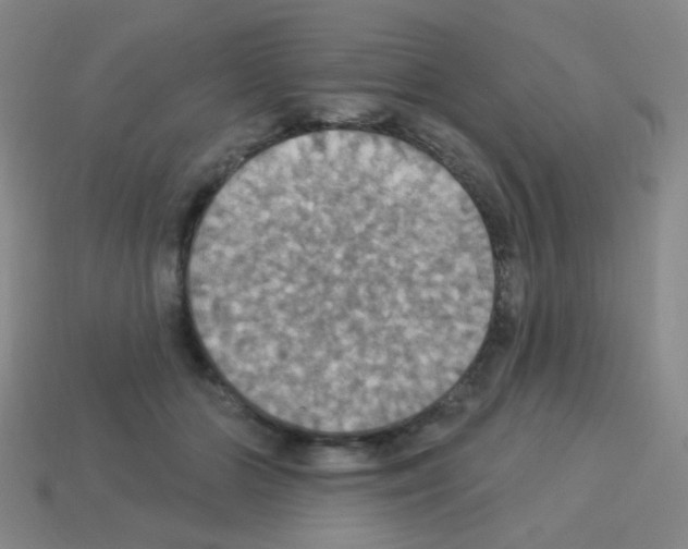 X0000113230510200910221042