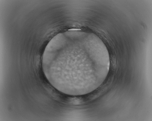 X0000113230511200910221042