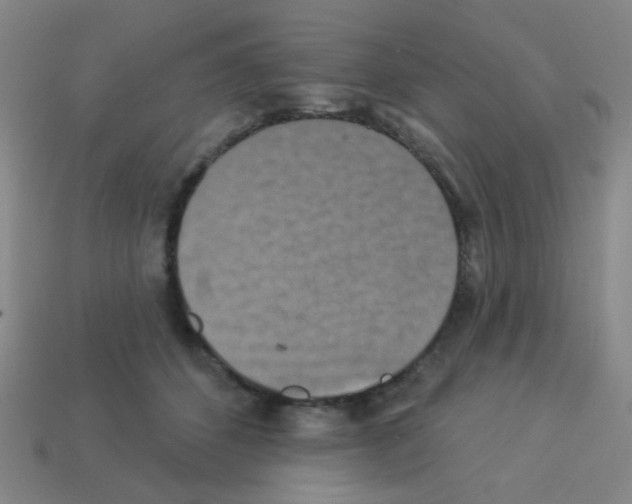 X0000113230512200910221042