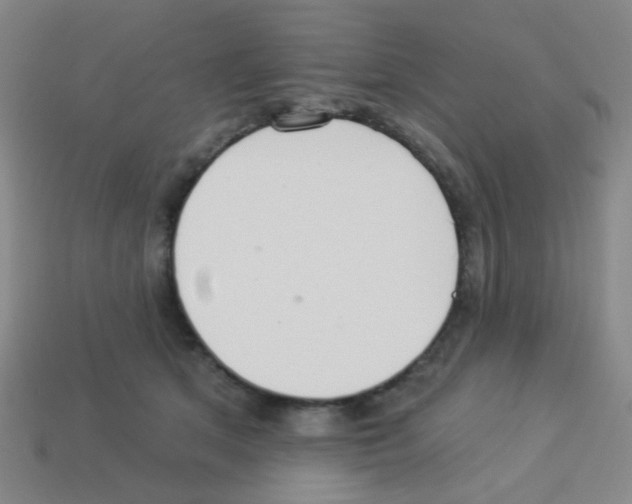 X0000113230513200910221042