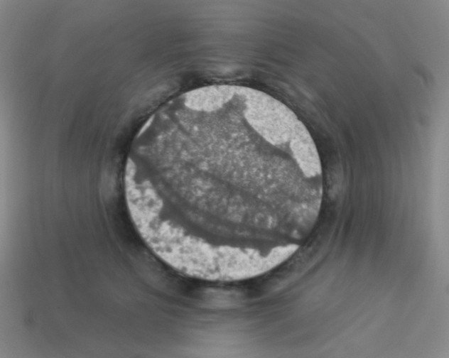 X0000113230515200910221042