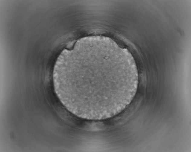 X0000113230517200910221042