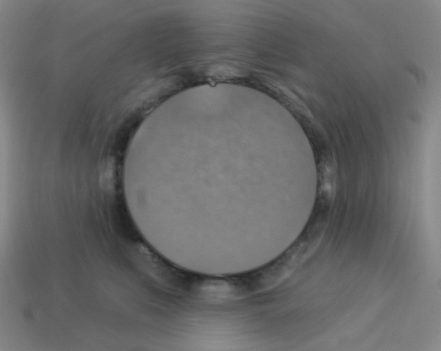 X0000113230519200910221042