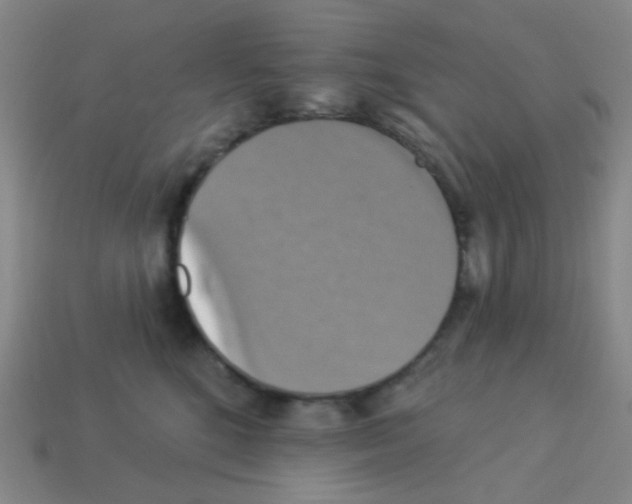 X0000113230520200910221042