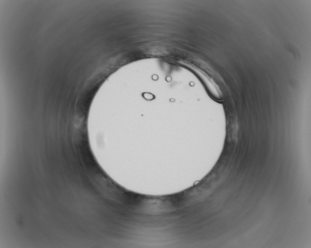 X0000113230521200910221042