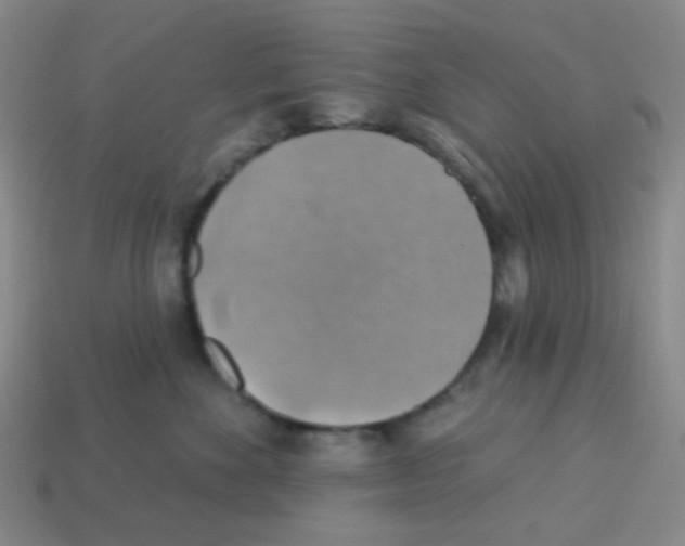 X0000113230524200910221042