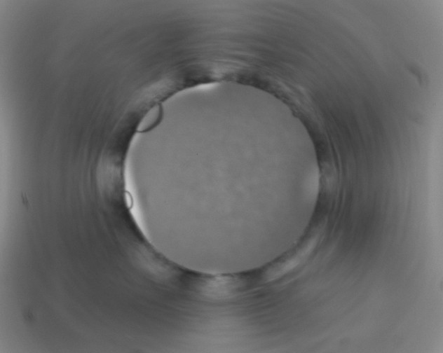 X0000113230527200910221042