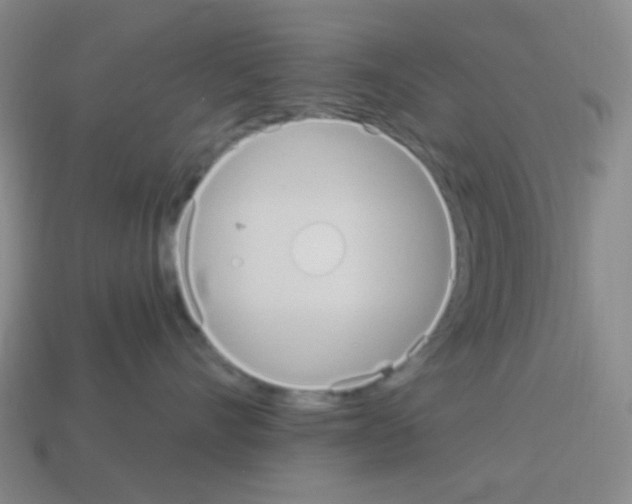 X0000113230528200910221042