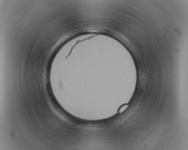 X0000113230530200910221041