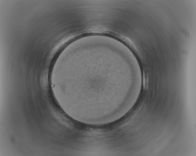 X0000113230531200910221041