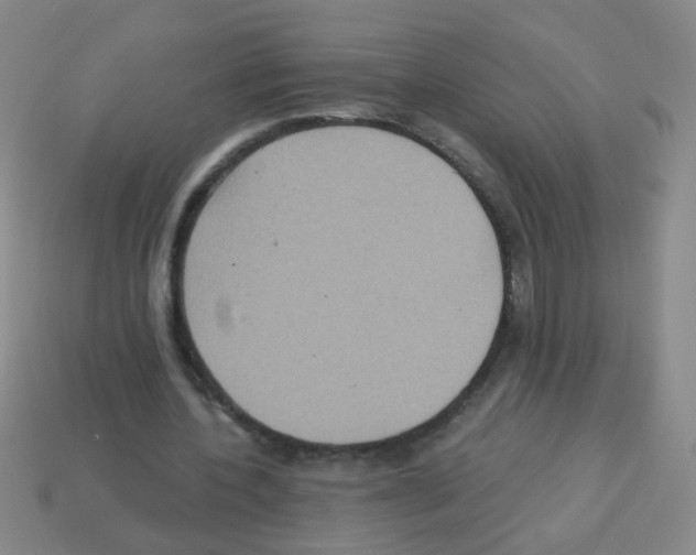 X0000113230532200910221041