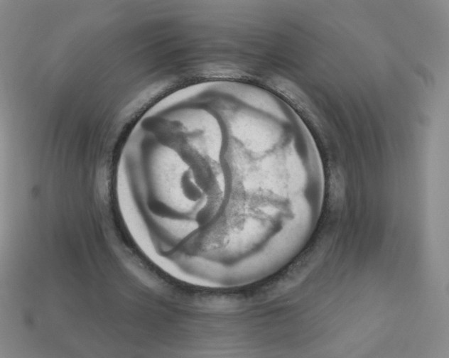 X0000113230533200910221041