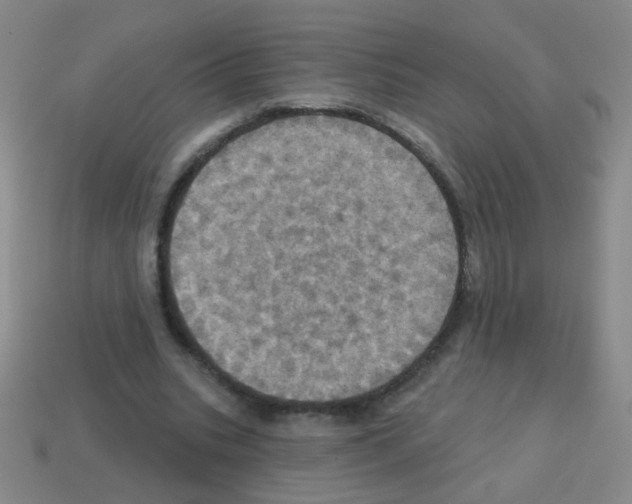 X0000113230535200910221041