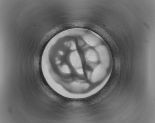 X0000113230537200910221041