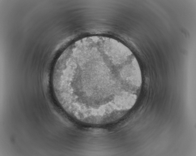 X0000113230539200910221041