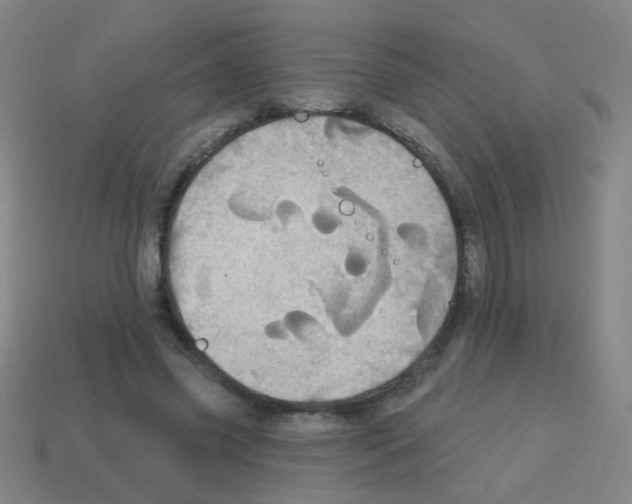 X0000113230541200910221041