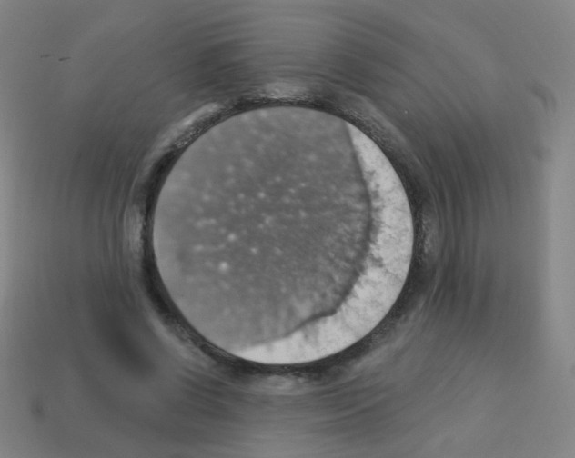 X0000113230542200910221041