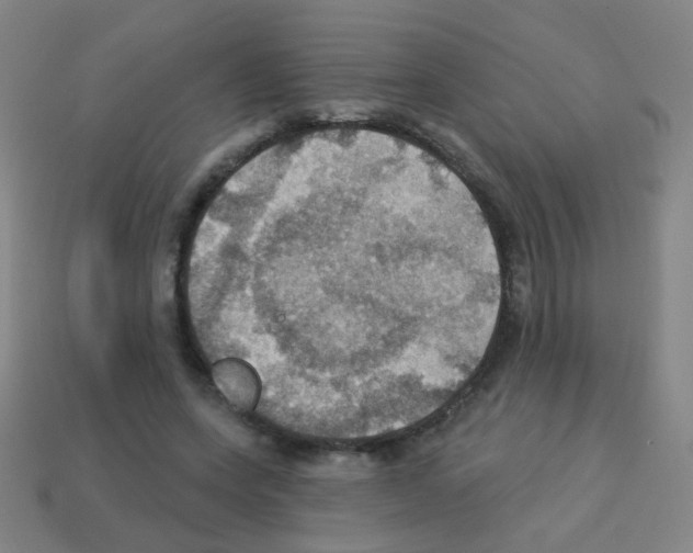 X0000113230543200910221041