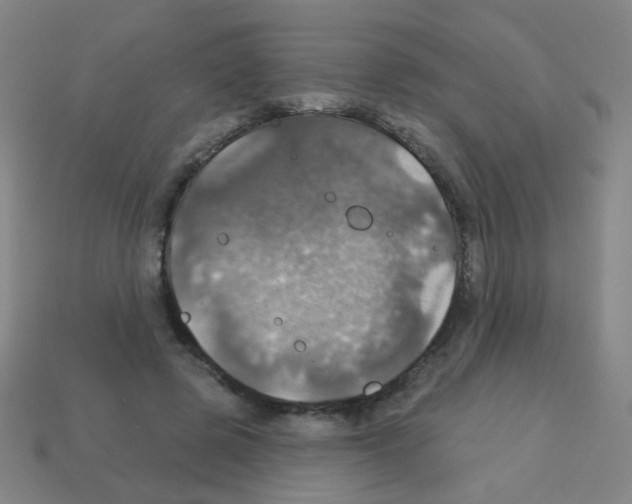 X0000113230545200910221041