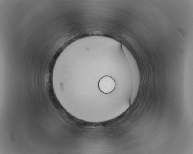 X0000113230548200910221041