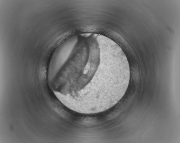 X0000113230549200910221041