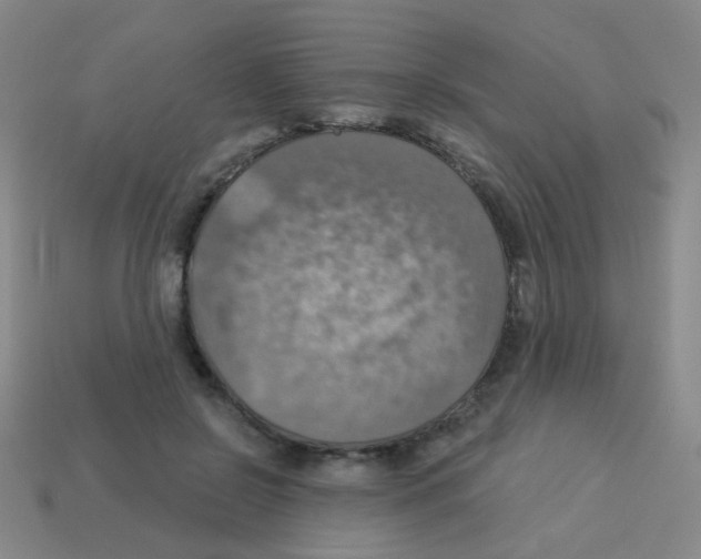 X0000113230550200910221041