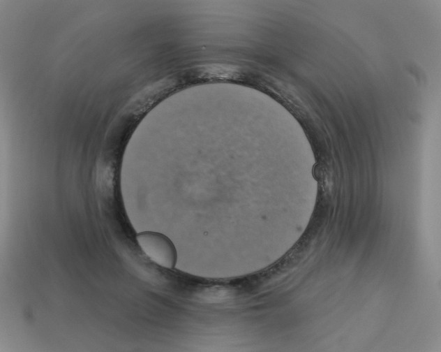 X0000113230551200910221041