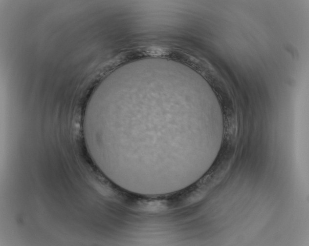 X0000113230553200910221041