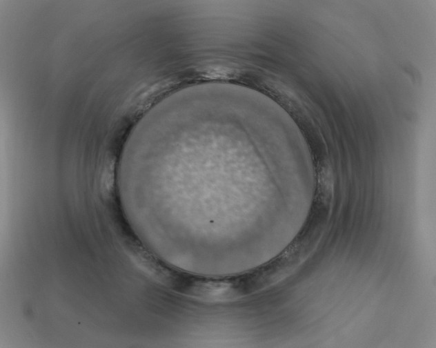 X0000113230554200910221041