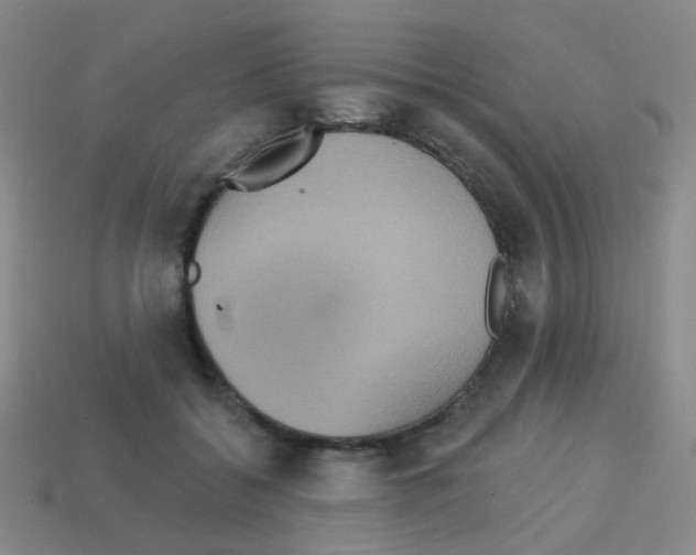 X0000113230556200910221041