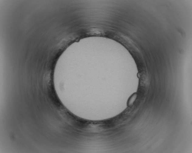 X0000113230560200910221041