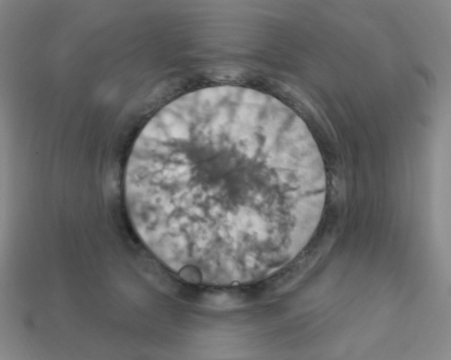 X0000113230561200910221041