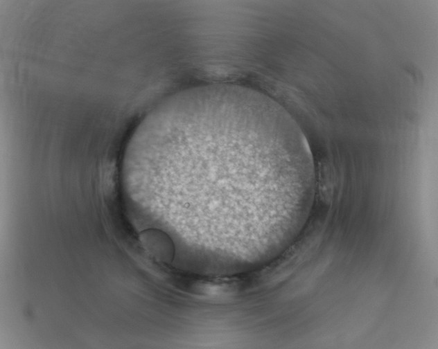 X0000113230563200910221041